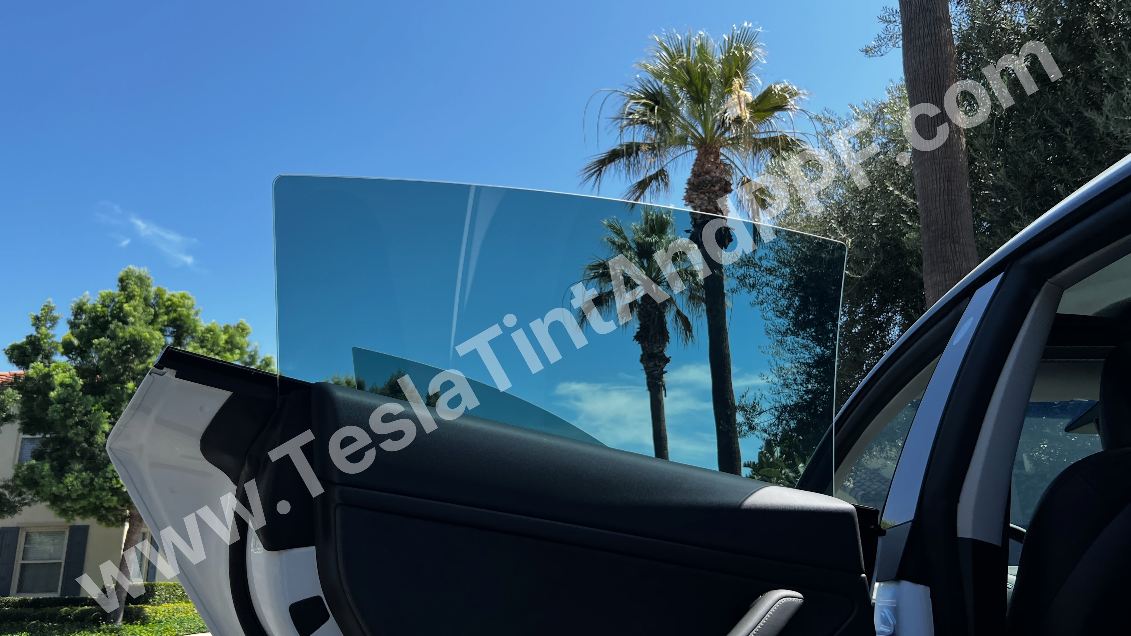 Paint Protection Film — Tesla