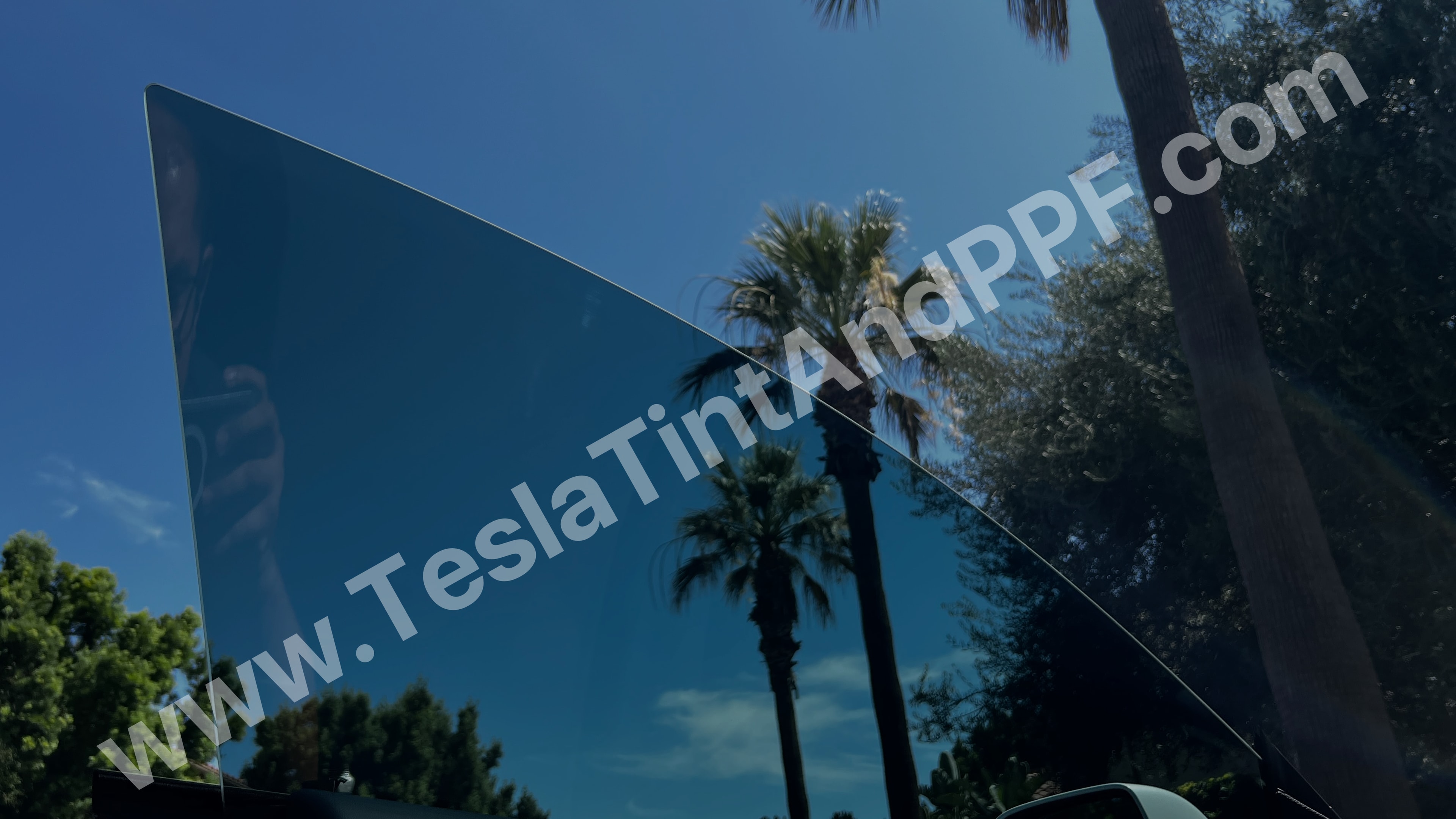 Paint Protection Film — Tesla