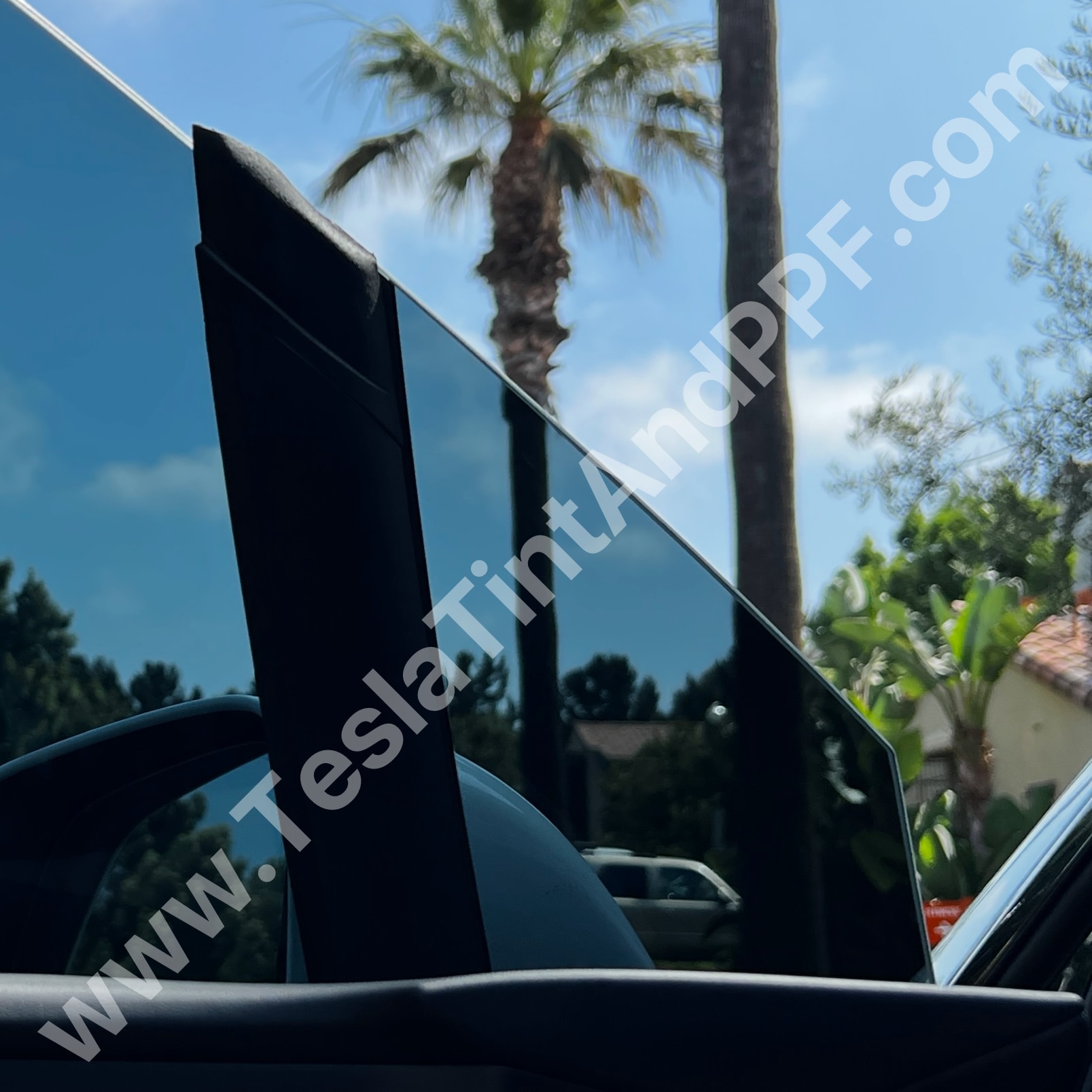 Tesla luxury exterior with PPF